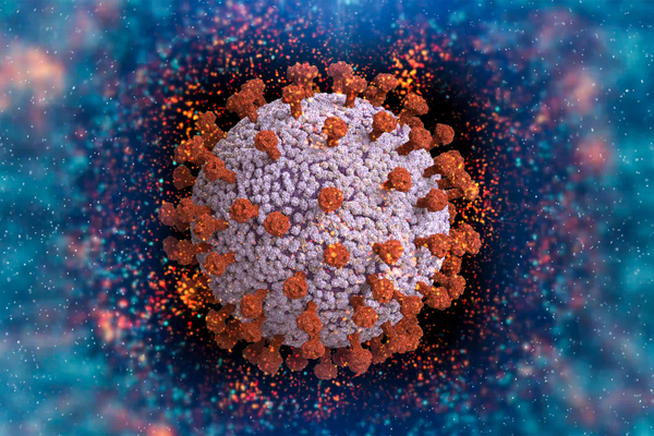 1-Sep-29-2025-12-33-14-7351-PM