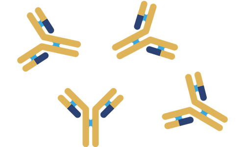 ptgx-landing-image-antibodies-gold